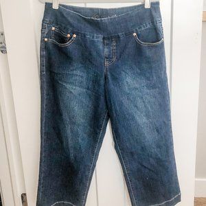 Jag Jeans Cropped Classic Fit! NWOT